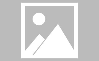 伊春网页设计翻译网站推荐（网页翻译接口）